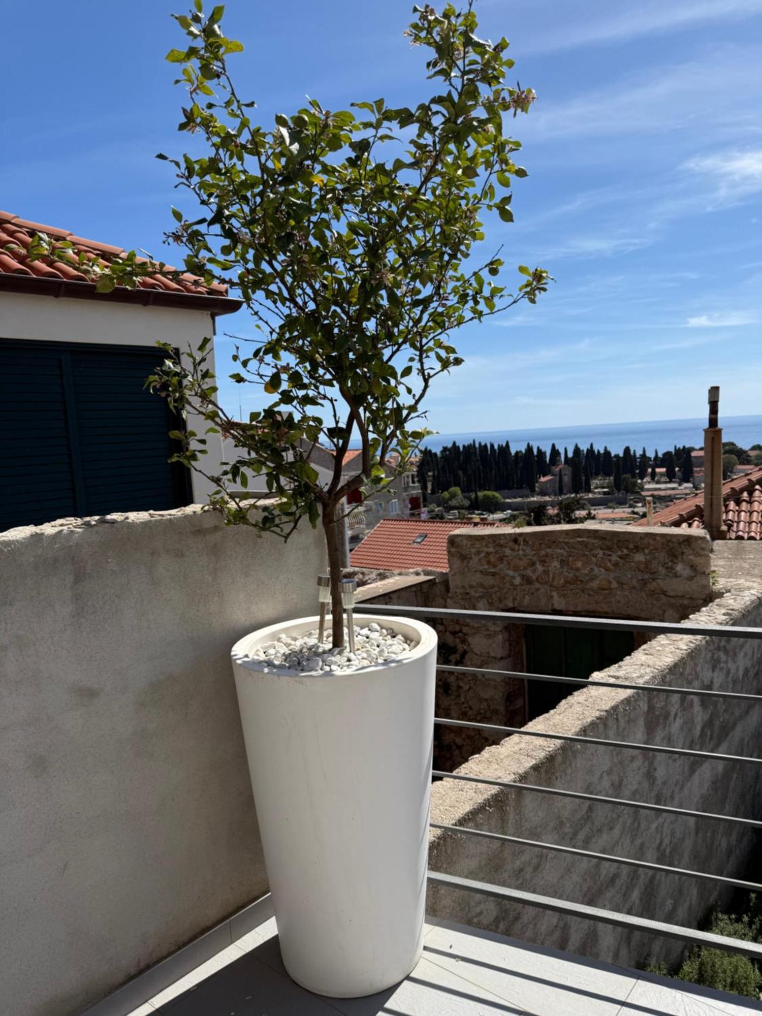 Lemon Tree Dubrovnik Apartments Esterno foto